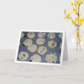 Raisin Scon Karte (Gelbe Blume)