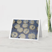 Raisin Scon Karte (Vorderseite)