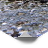 Raja Ampat Sweetlips Poster (Ecke)