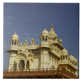 Rajasthan, Indien Eine stehende und zufällige Frau Fliese