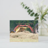 Raking Hay mit einem alten, gezogenen Rake Postkarte (Stehend Vorderseite)