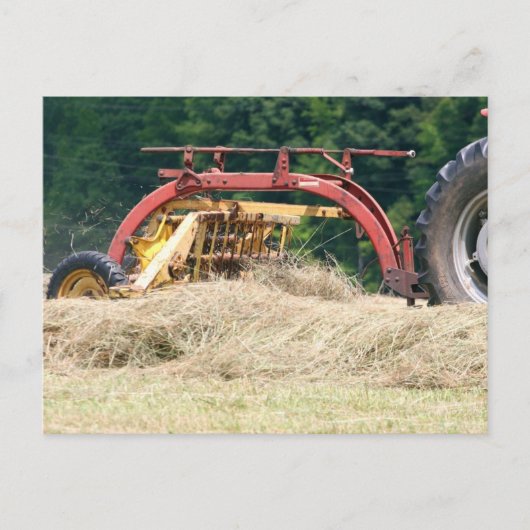 Raking Hay mit einem alten, gezogenen Rake Postkarte (Vorderseite)
