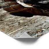 Rakkasan Poster (Ecke)