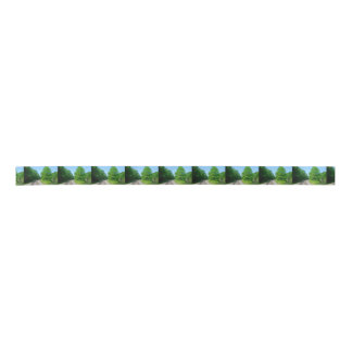 Raleigh County Zug-Bahnen Satinband