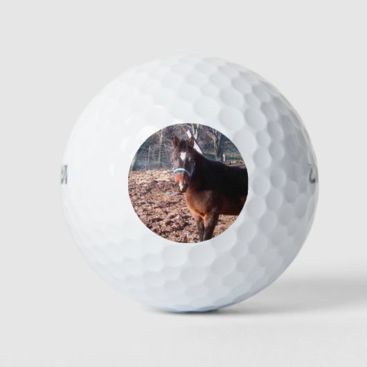 Raleigh Landkreis Golfball (Vorderseite)