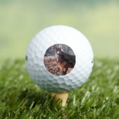 Raleigh Landkreis Golfball (Insitu T-Shirt)