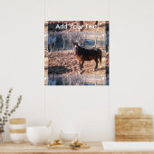 Raleigh Landkreis Poster (Küche)