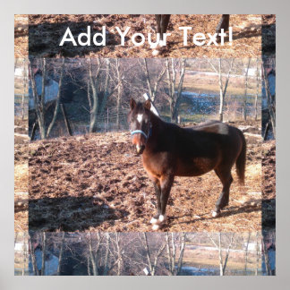 Raleigh Landkreis Poster