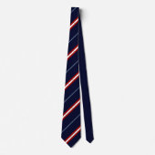 Raleigh (North Carolina) Fahne-Siegel Neck Tie Krawatte (Vorderseite)