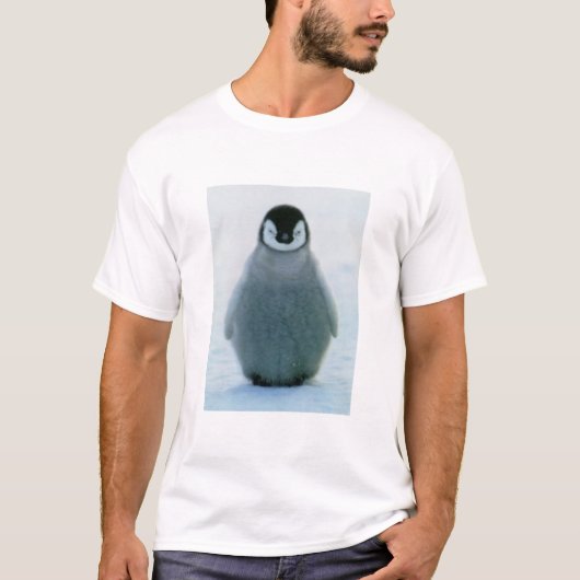 Ralph T-Shirt (Vorderseite)