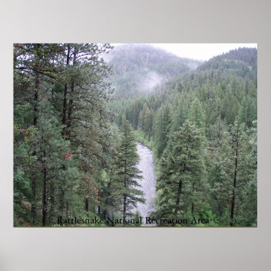 Raltesnake Poster (Vorne)