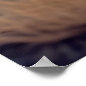 Ram Animal Nature Majestic Wilderness Poster (Ecke)