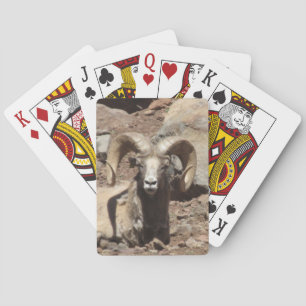 Ram Cards Spielkarten