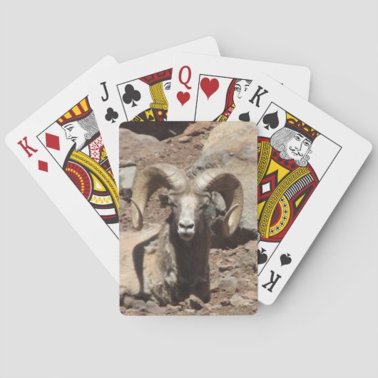 Ram Cards Spielkarten (Rückseite)