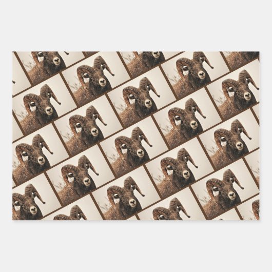 Ram Geschenkpapier Set (Vorderseite 2)