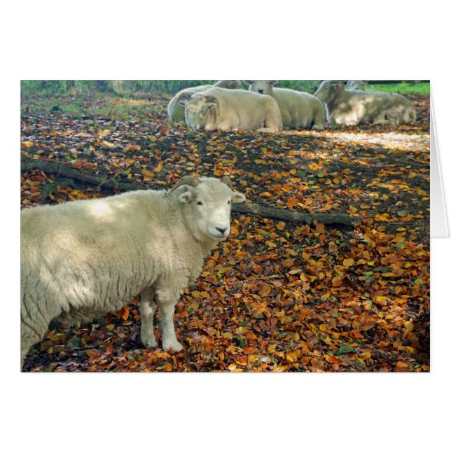 RAM-Karte (Vorderseite (Horizontal))