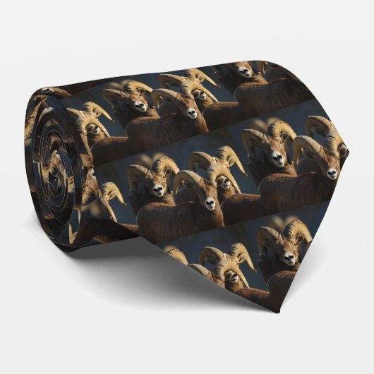 RAM KRAWATTE (Gerollt)