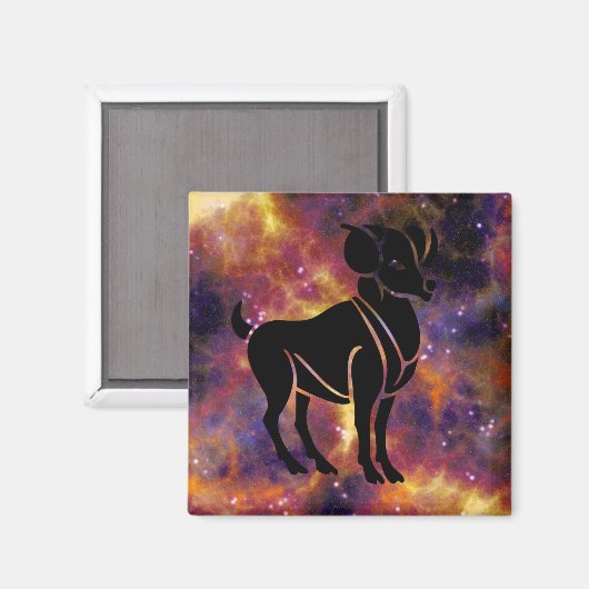 Ram Magnet (Vorderseite/Rückseite)