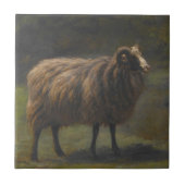 Ram (männliche Schafe) auf dem Bauernhof (von Rosa Fliese (Vorderseite)