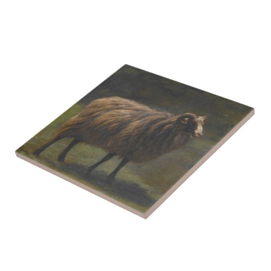 Ram (männliche Schafe) auf dem Bauernhof (von Rosa Fliese (Seite)