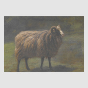 Ram (männliche Schafe) auf dem Bauernhof (von Rosa Seidenpapier