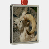 Ram oder Bighorn Sheep Laghing Silbernes Ornament (Rechts)