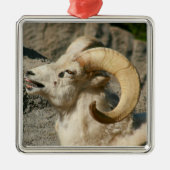 Ram oder Bighorn Sheep Laghing Silbernes Ornament (Vorne)