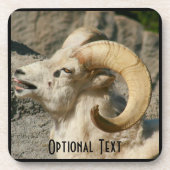 Ram oder Bighorn Sheep Laghing Untersetzer (Vorderseite)