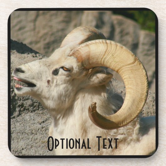 Ram oder Bighorn Sheep Laghing Untersetzer (Vorderseite)