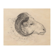 Ram - Original Zeichnend auf Holzkanvas