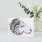 Ram Original Zeichnend Postkarte (Stehend Vorderseite)