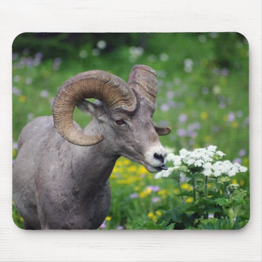 RAM - Riechen der Blumen Mousepad (Vorne)