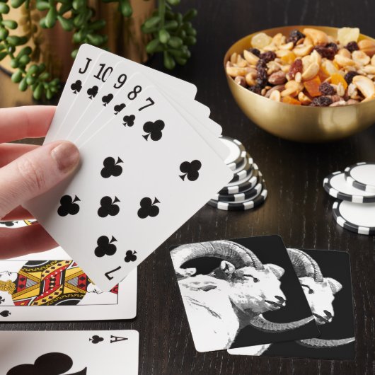 RAM SPIELKARTEN (In Situ)