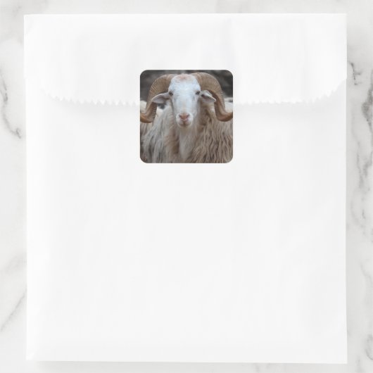 Ram Stickers (Tasche)