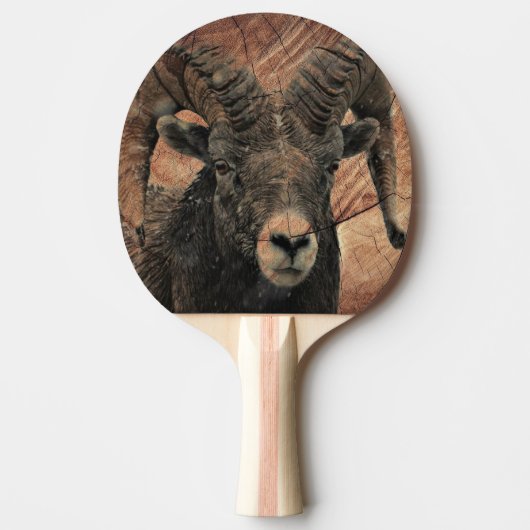 Ram Tischtennis Schläger (Vorderseite)