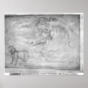 RAM und Kopf eines RAMs Poster