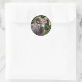 Ram Weiden Runder Aufkleber (Tasche)