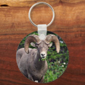 Ram Weiden Schlüsselanhänger (Vorderseite)