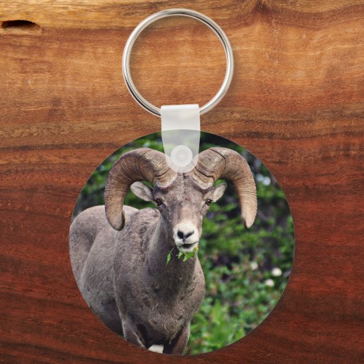 Ram Weiden Schlüsselanhänger (Vorderseite)