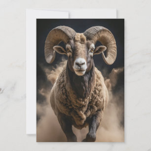 Ram Wild Animal Elegantes Dramatisches Nebelportra Ankündigung