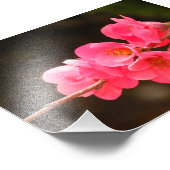 Rama con hermosas flores fotodruck (Ecke)