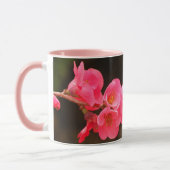 Rama con hermosas flores tasse (Links)