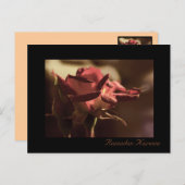 Ramadan Kareem - rote Rose Postkarte (Vorne/Hinten)