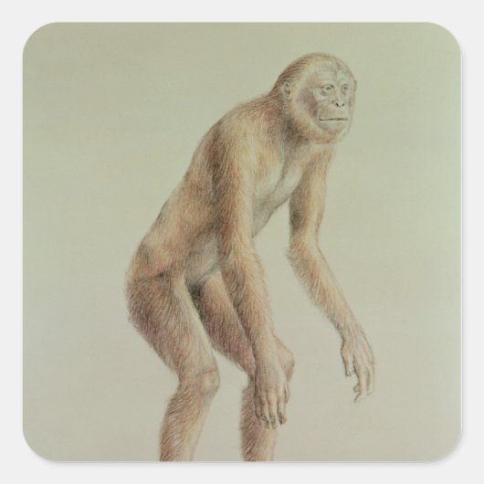 Ramapithecus Quadratischer Aufkleber (Vorderseite)
