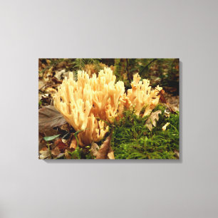 Ramaria stricta Fungi Canvas Print Leinwanddruck