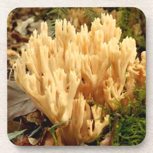 Ramaria stricta Fungi Hard Plastic Untersetzer (Vorderseite)