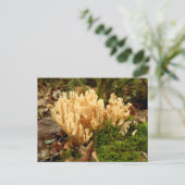 Ramaria stricta Fungi Postcard Postkarte (Stehend Vorderseite)