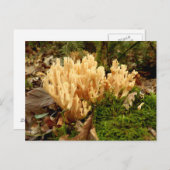 Ramaria stricta Fungi Postcard Postkarte (Vorne/Hinten)