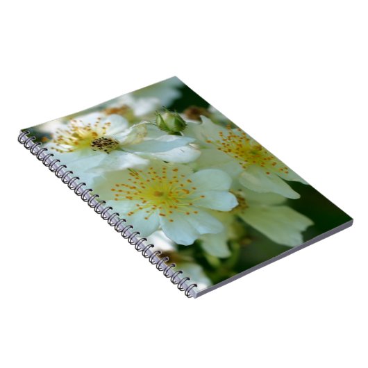 Rambling Rose Blume Nature Notebook Notizblock (Rechte Seite)