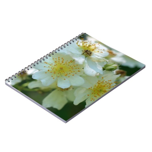 Rambling Rose Blume Nature Notebook Notizblock (Linke Seite)
